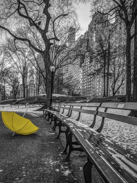 Plakat 60x80cm Żółty parasol na ścieżce w Central Parku 2, Assaf Frank