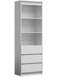 regal-rs-60-biel
