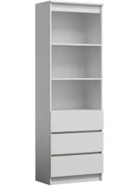 regal-rs-60-biel