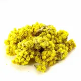 kocanka-piaskowa-25g