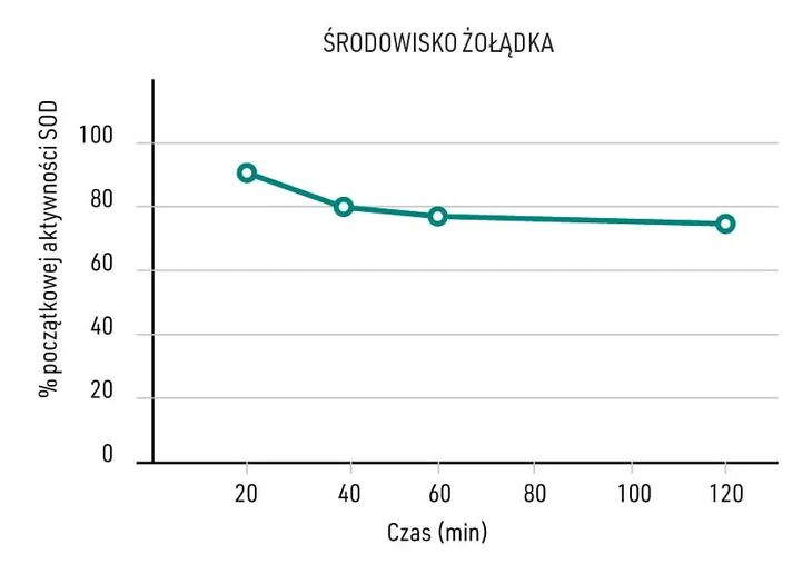 inamia-antioxidant-liczba-sztuk-60-szt