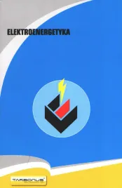 elektroenergetyka
