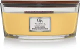 woodwick-elipsa-seaside-mimosa