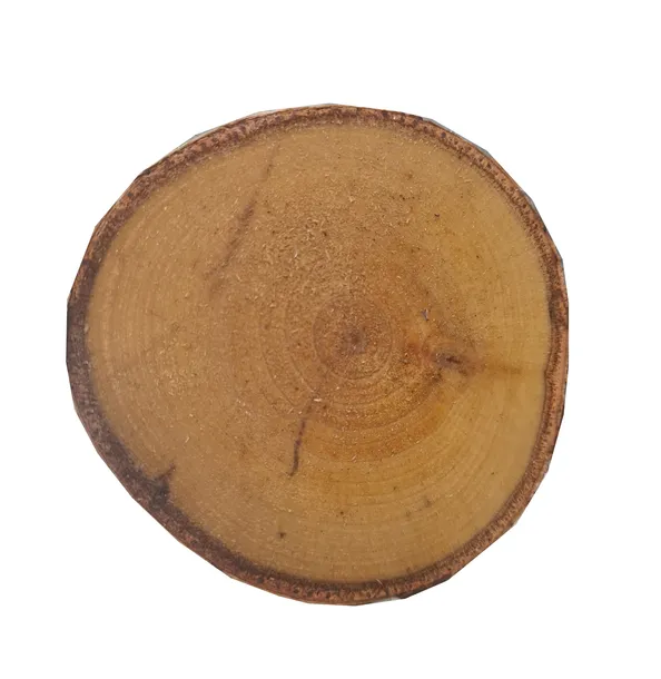 plastry-drewna-brzoza-28cm-liczba-sztuk-1-szt