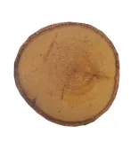 plastry-drewna-brzoza-28cm-liczba-sztuk-1-szt