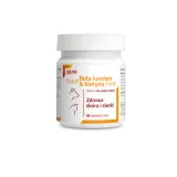 dolvit-beta-karoten-and-biotyna-forte-mini-90-tabletek