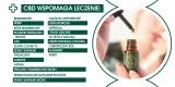 olejek-cbd-5percent-pojemnosc-10-ml