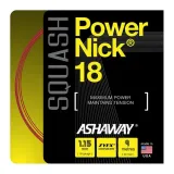 naciag-do-squasha-powernick-18-set