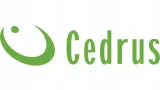 transporter-spalinowy-cedrus-tr300-kod-producenta-cedtr300