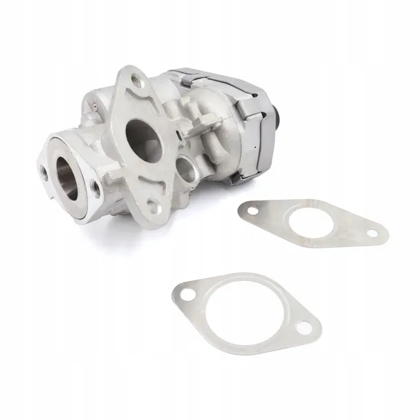 zawor-egr-eg10399-12b1-delphi-producent-czesci-delphi
