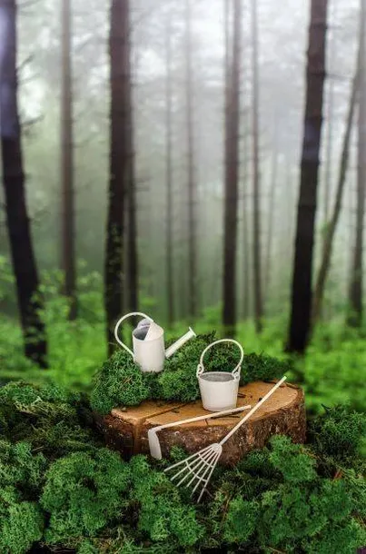 pergola-ogrodowa-mini-stan-nowy