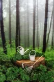 pergola-ogrodowa-mini-stan-nowy