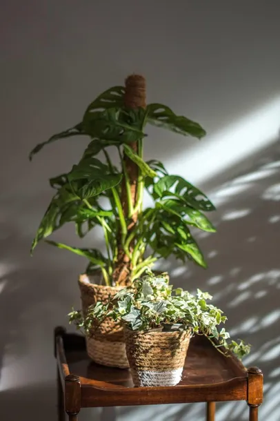 kosz-wiklinowy-moroccan-bialy-145-cm