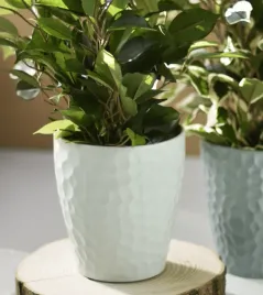 oslonka-ceramiczna-doniczka-devon-mieta-15-cm