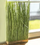 plotek-trawy-naturalnej-w-oslonce-50-cm