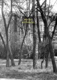notes-otwocki-piotr-sommer