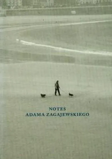 Grafika w opisie produktu