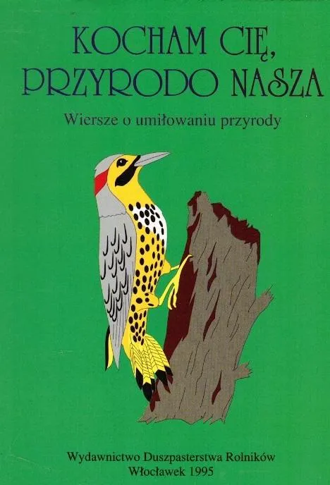 Grafika w opisie produktu