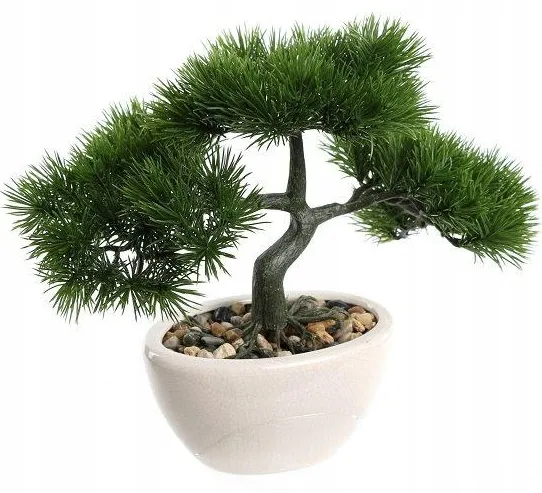 bonsai-w-doniczce