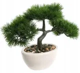 bonsai-w-doniczce