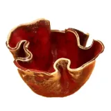 miska-ceramiczna-bordowa