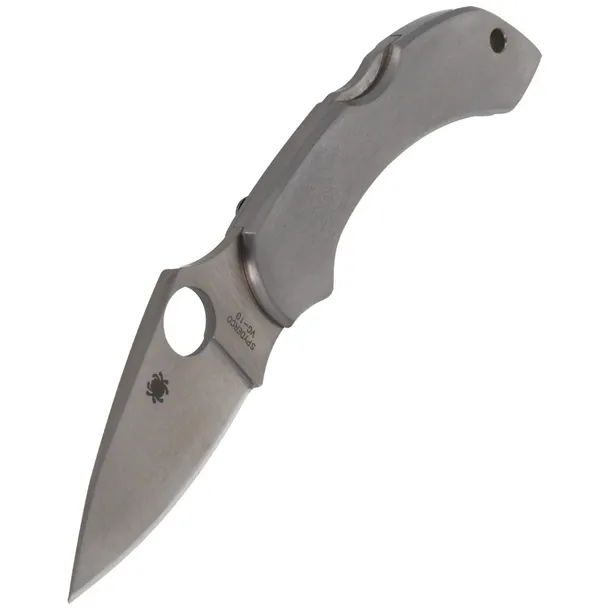noz-spyderco-dragonfly-stainless-plain-c28p
