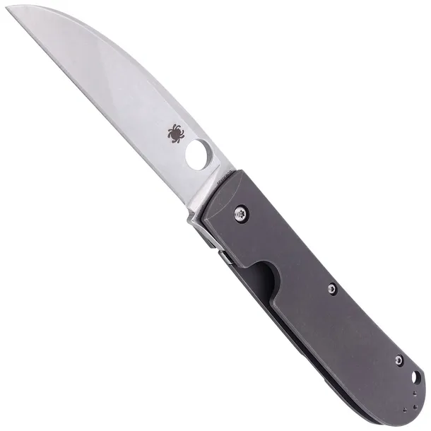 noz-spyderco-swayback-titanium-plain-c249tip