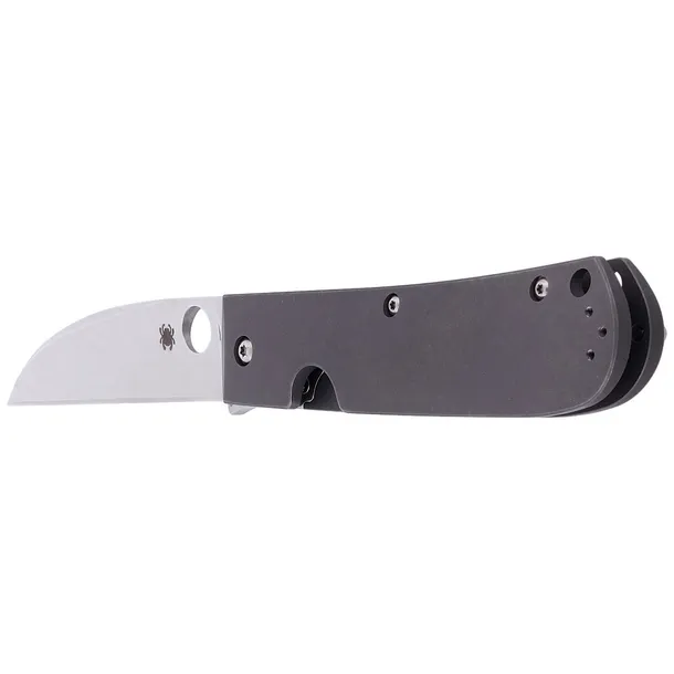 noz-spyderco-swayback-titanium-plain-c249tip