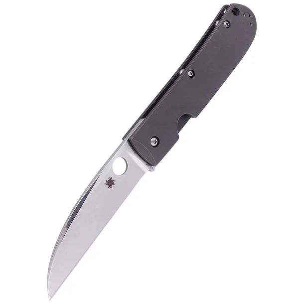 noz-spyderco-swayback-titanium-plain-c249tip