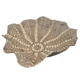 patera-ceramiczna-queena