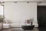 mono
