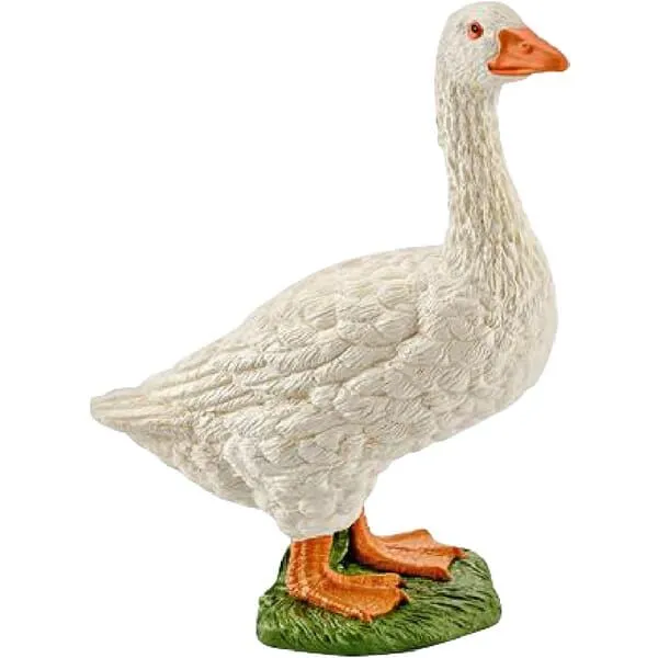 ges