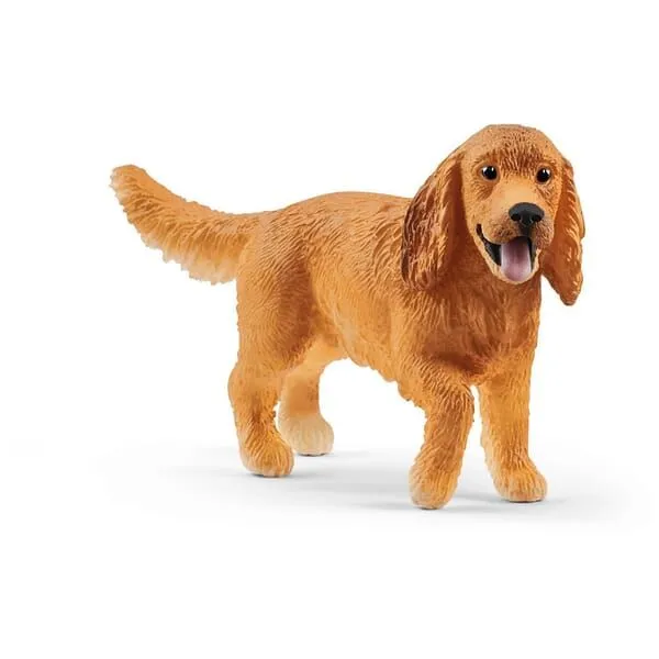 pies-cocker-spaniel
