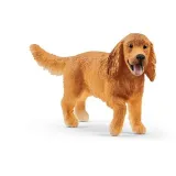 pies-cocker-spaniel