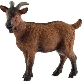 koza