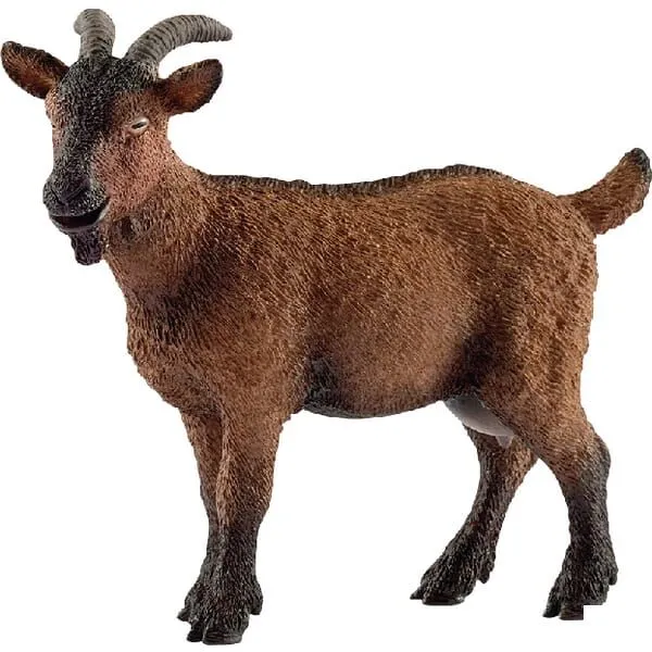 koza