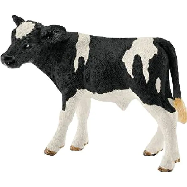 ciele-holstein