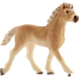 zrebie-haflinger