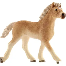 zrebie-haflinger