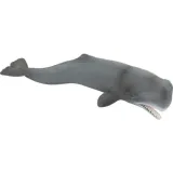 wieloryb