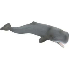 wieloryb