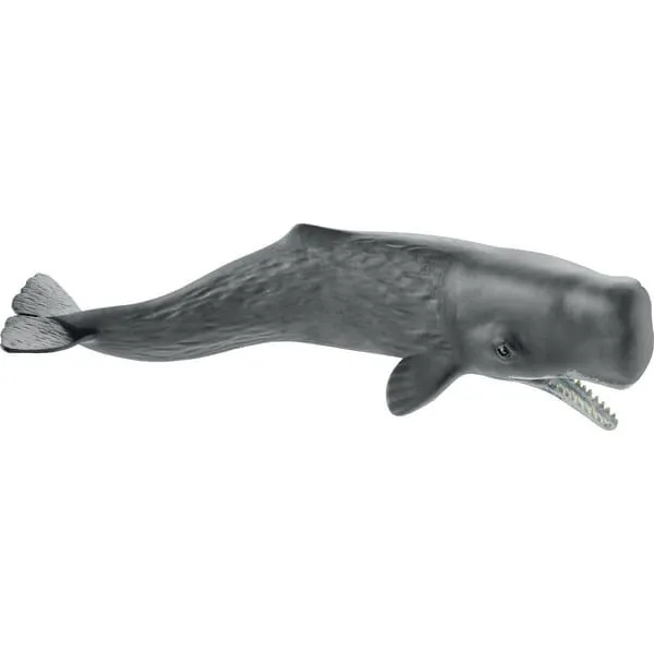 wieloryb