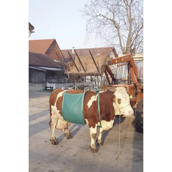 podnosnik-temblakowy-dla-bydla