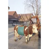 podnosnik-temblakowy-dla-bydla