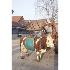 podnosnik-temblakowy-dla-bydla