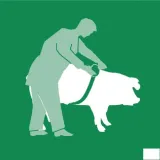 miara-zoometryczna