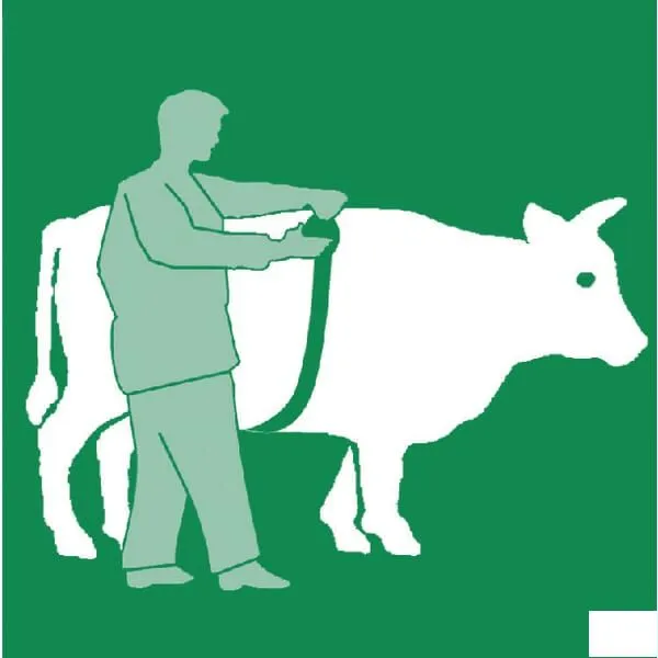 miara-zoometryczna