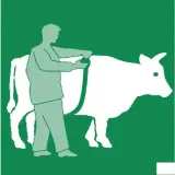 miara-zoometryczna