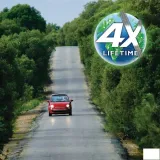 zarowka-h11-ecovision-12v