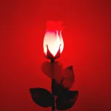 swiecaca-roza-led-stan-nowy-kod-produktu-0463-1-5905398024599